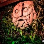 LifestyleParty-BangkokEventEntertainmentdecoration-whateveryourneeds