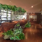 organizationdecoration-eventsdecoration-LifestyleParty