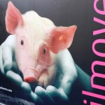 exhibition in bangkok thailand