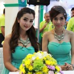 professional company modeling agency