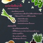 ออร์แกนิก-ประโยชน์-มาร์เก็ตฟาร์ม